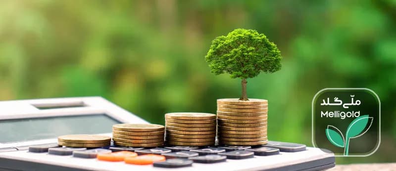 صندوق سرمایهگذاری طلا بهتر است یا خرید آنلاین طلای آبشده؟